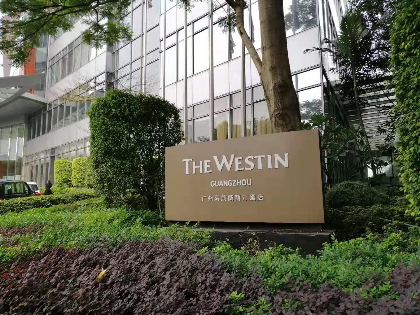 son şirket davası hakkında Westin